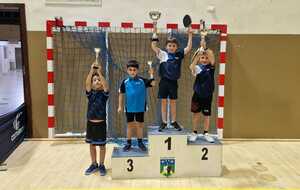 Résultats du Tournoi Poussins-Benjamins