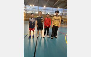 Résultats des Finales par Classement