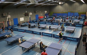 5ddcfa012a46a_DSC01617.jpg