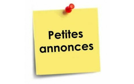 Offres d'emploi entraîneurs 