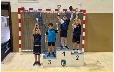 Résultats du Tournoi Poussins-Benjamins